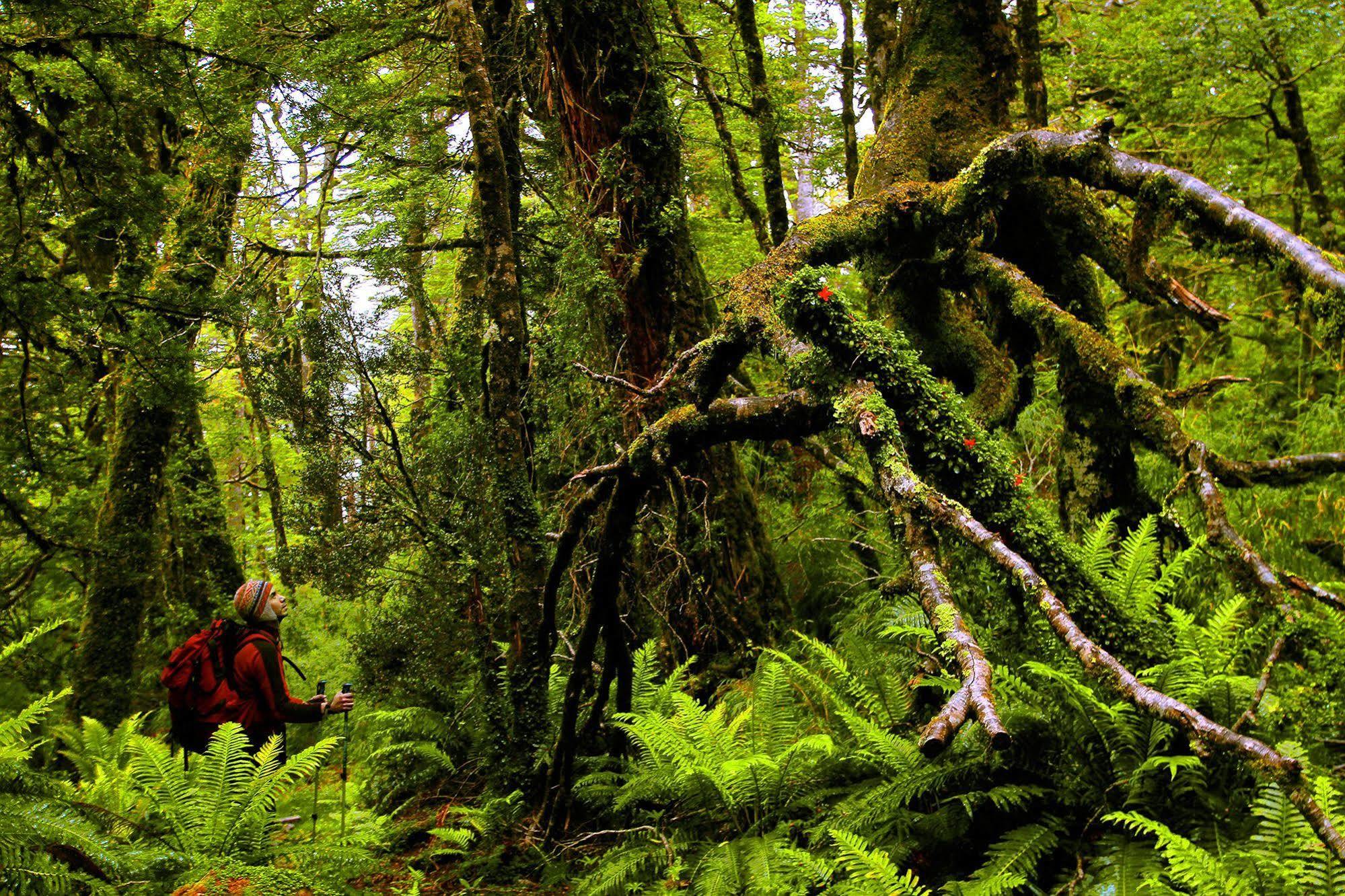Puyuhuapi Lodge & Spa Екстер'єр фото